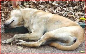Placeholder: the original page gave this picture no description, and none has been written yet. It came from daaiz\daaiz\special\a1506.asp.