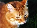 Placeholder: the original page gave this picture no description, and none has been written yet. It came from daaiz\daaiz\special\ny07.asp.